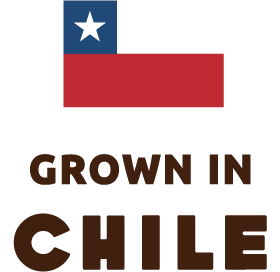 GROWN IN CHILE