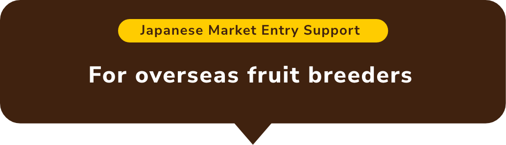 【Japanese Market Entry Support】For Overseas Fruit Growers
