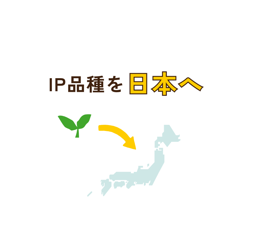 IP品種を日本へ