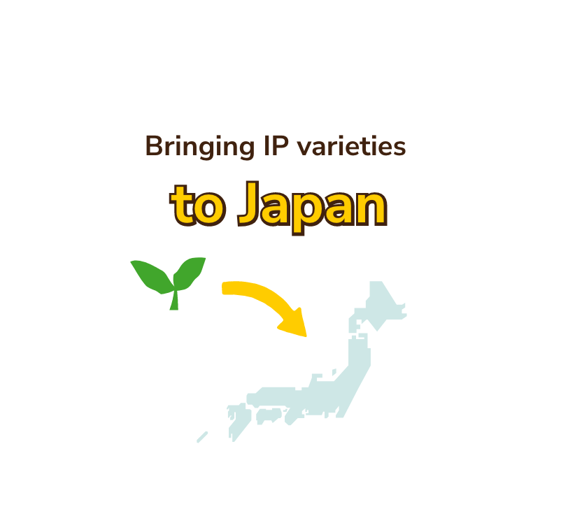 Bringing IP varieties to Japan