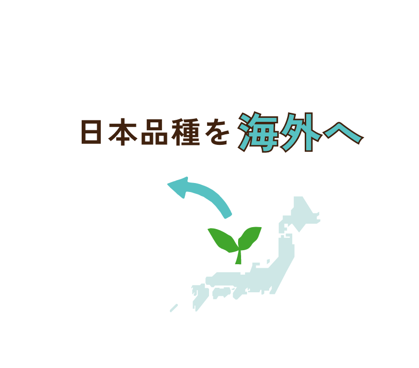 日本品種を海外へ