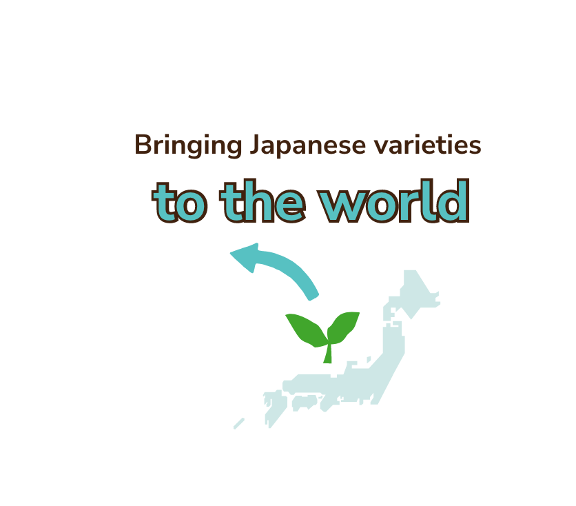 Bringing Japanese varieties to the world